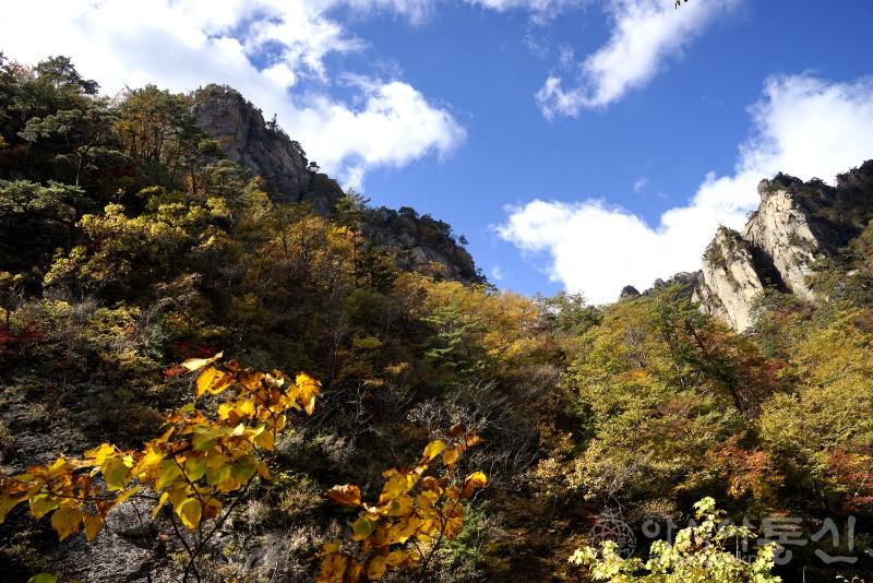 주43(보도).jpg