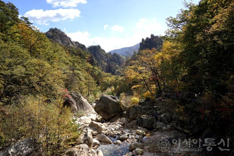 주52.jpg
