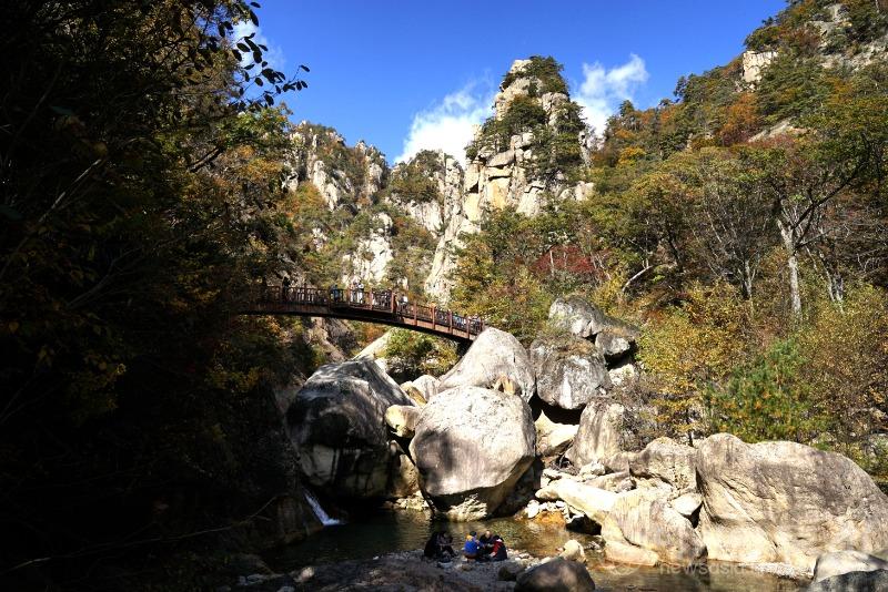 주67(보도).jpg