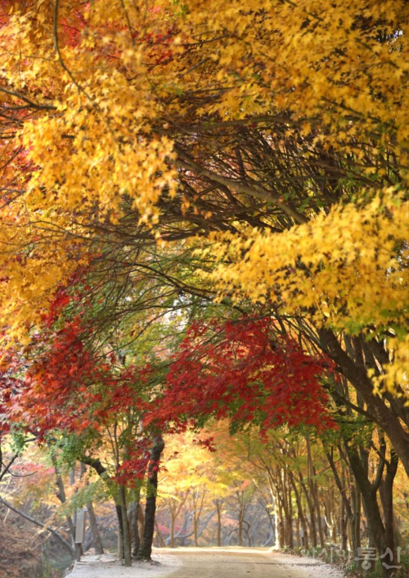 강106(작).jpg
