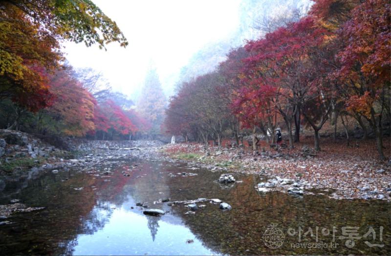 강31(작).jpg