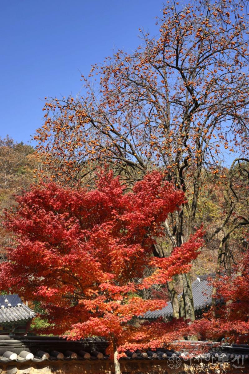 강56(작).jpg