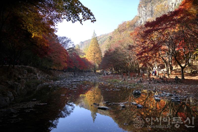 강167(작).jpg