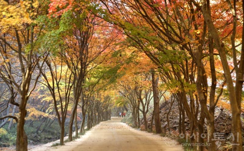 강109(작).jpg