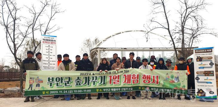 부안군 숲.jpg