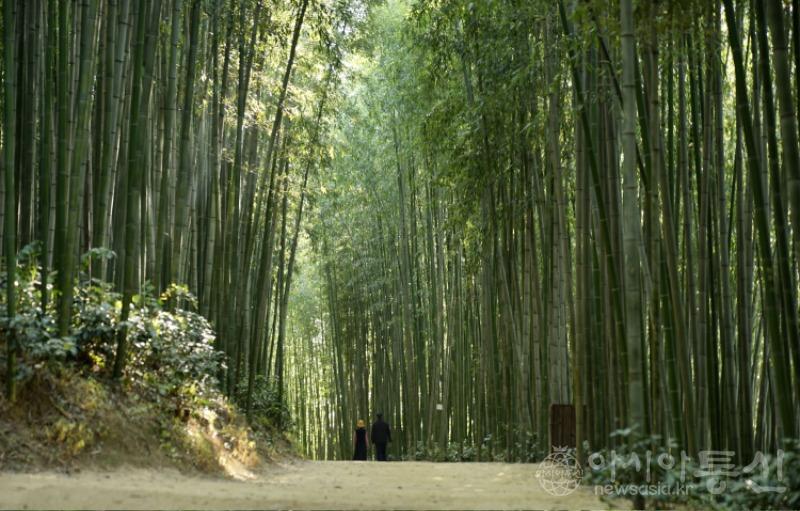 죽11.jpg