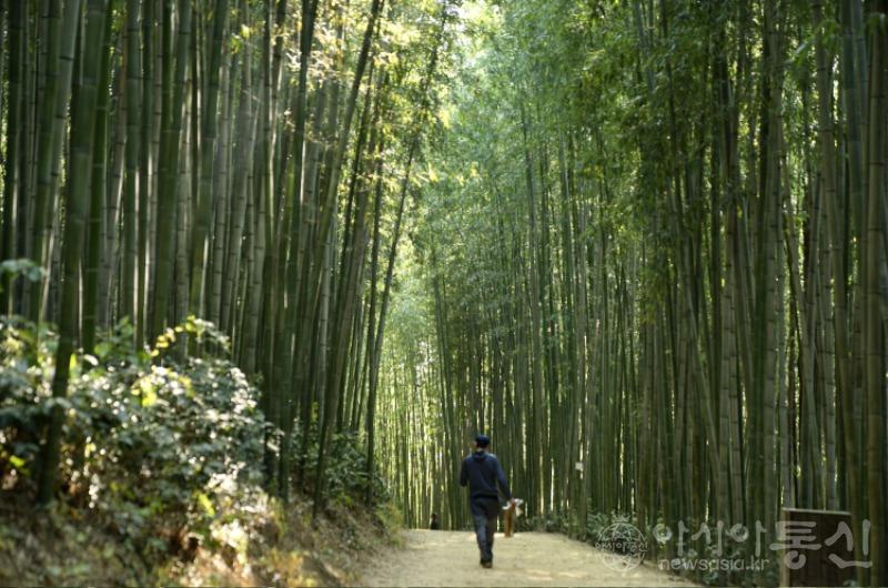 죽14.jpg