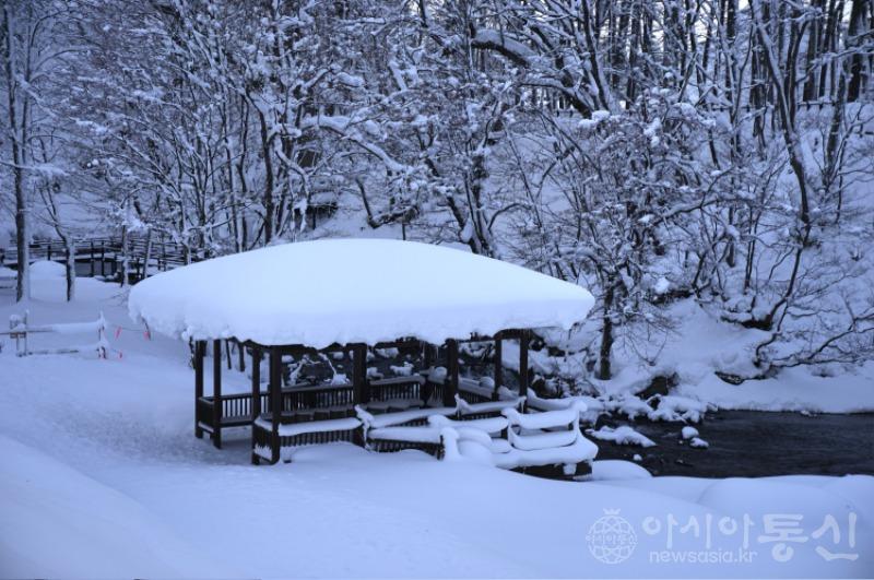 북49.jpg