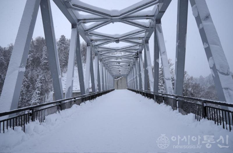 흰20.jpg