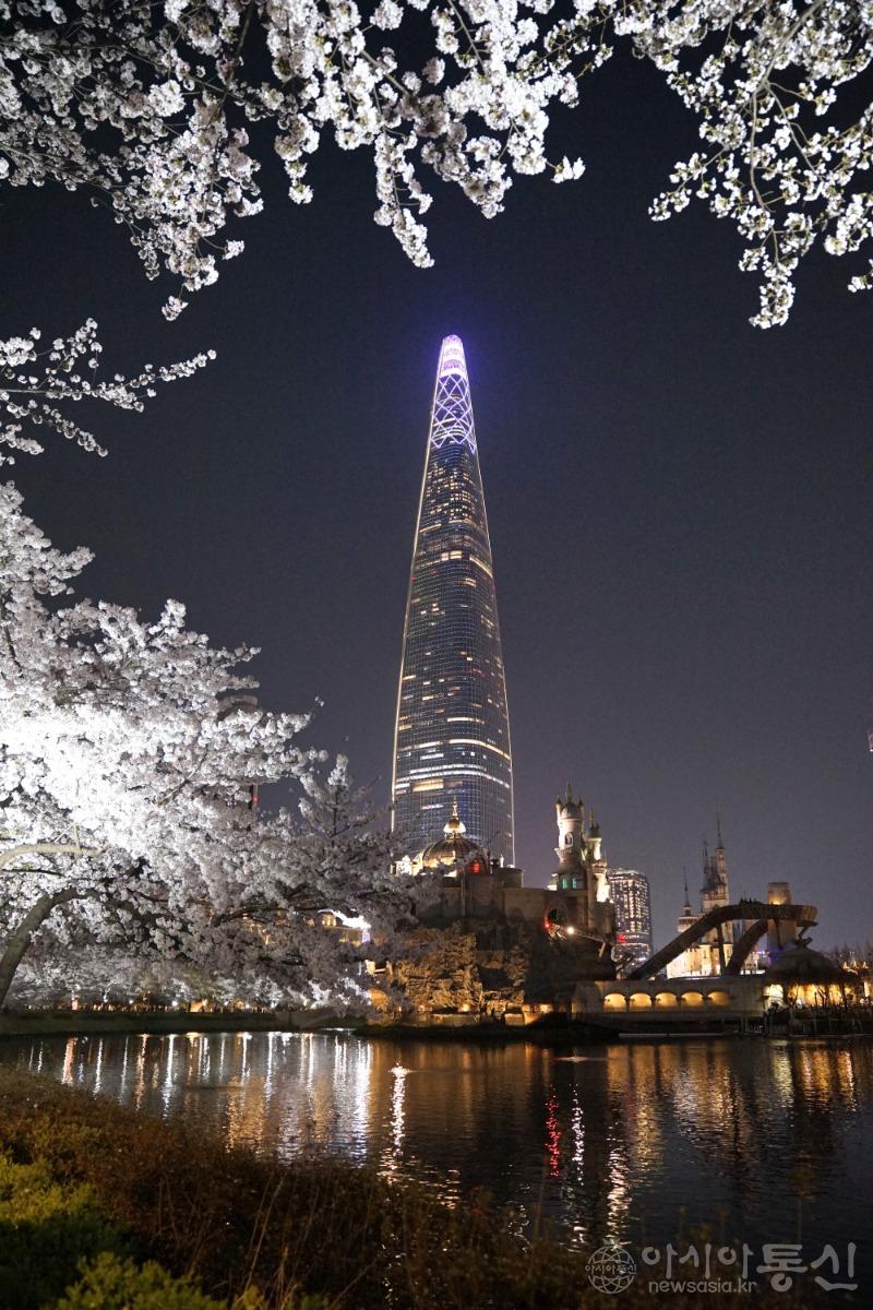 야28(보도).jpg