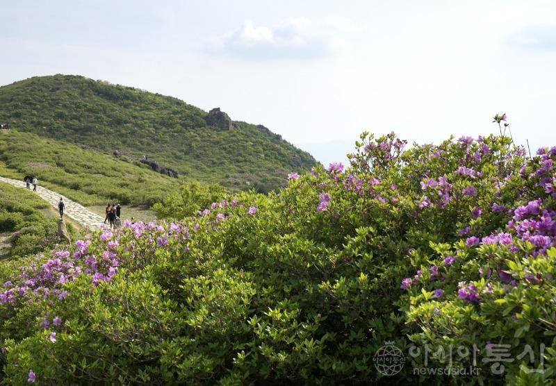 황35(작).jpg