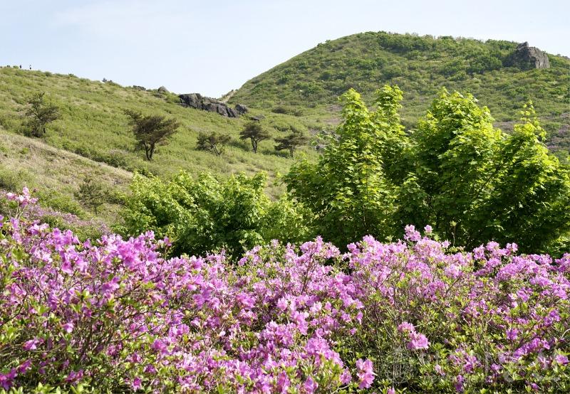 황38(작).jpg