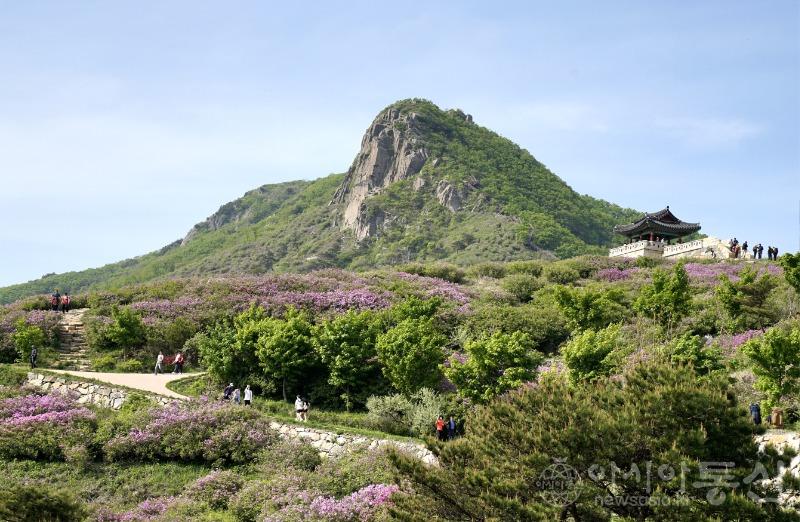 황47.jpg