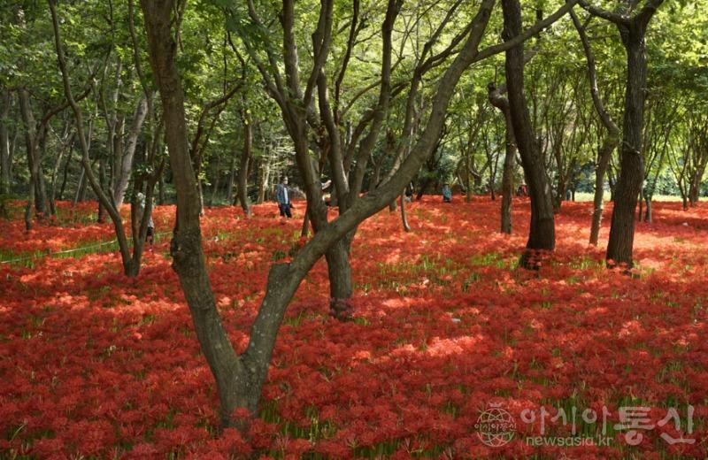 27512_44586_2014(보도).jpg