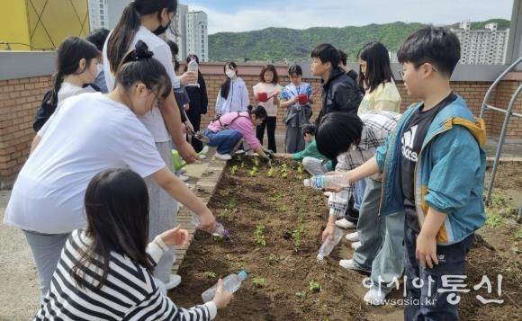 수원중촌초등학교 아이들이 텃밭체험을 하고 있다.