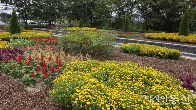 전북도 산림환경연구원, 고원화목원 ‘가을꽃 힐링정원’ 조성