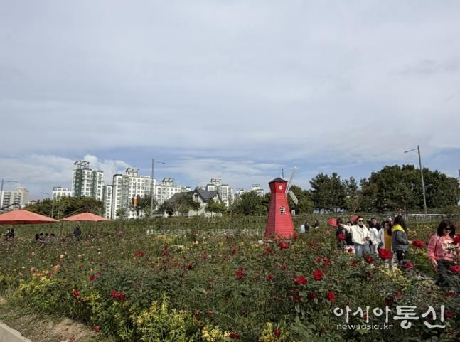 2025년 양주나리농원 가을 개장 성황리 종료