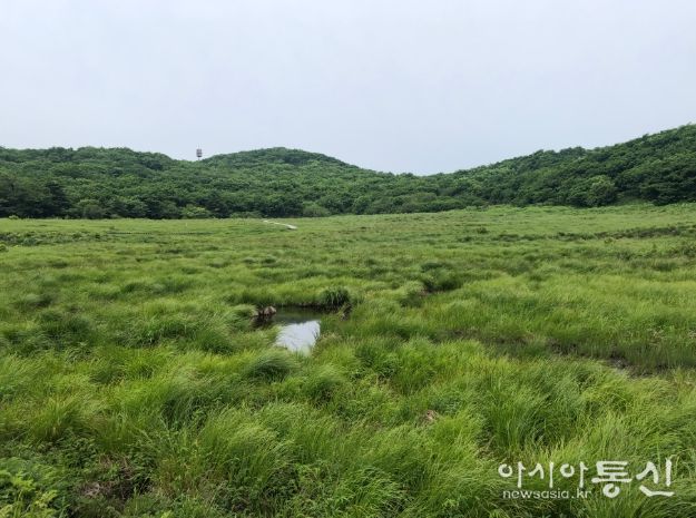 (북부지방산림청) 강원 인제 대암산 용늪 산림유전자원보호구역