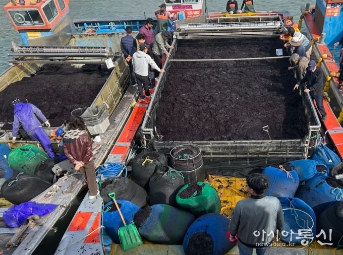 곱창김 전국 첫 위판 시작
