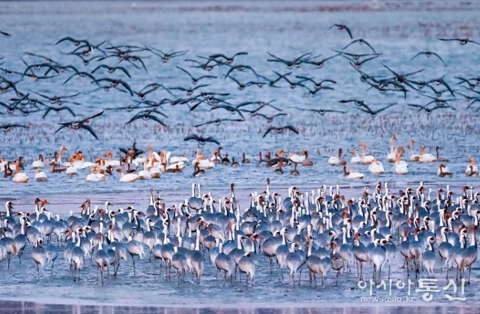 경남 창원(주남저수지)