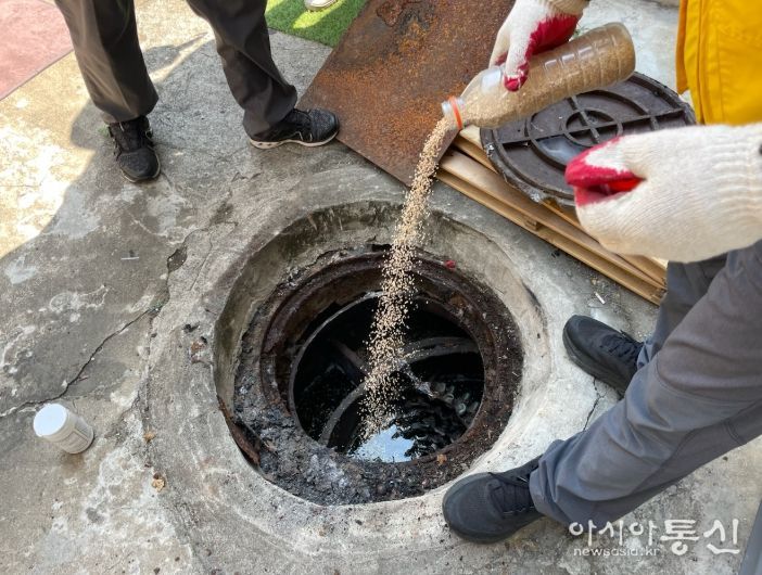 ‘모기와의 전쟁’ 동절기 정화조 모기유충 집중방제