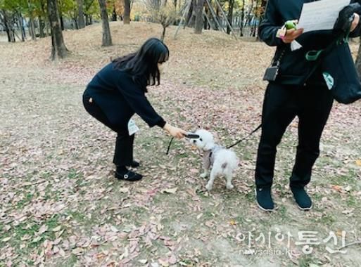 김해시, 동물 미등록 집중 단속 추진