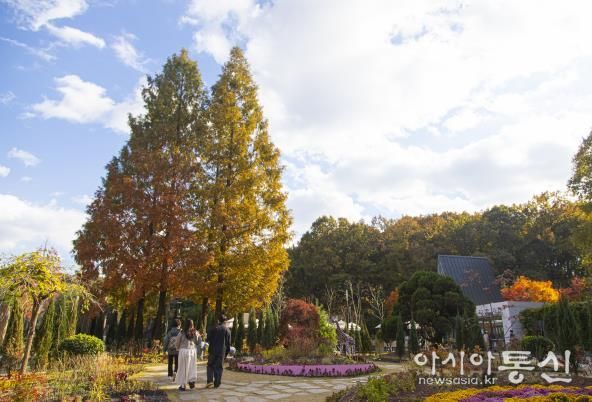 무릉도원수목원