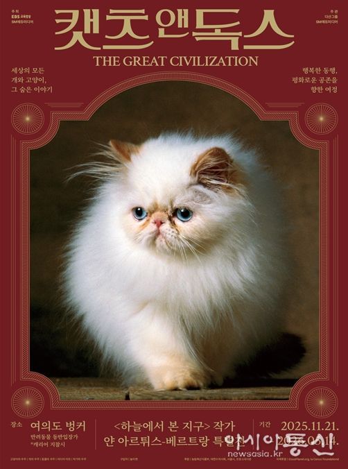 사진·영상 전시 '캣츠 앤 독스 : THE GREAT CIVILIZATION' 포스터