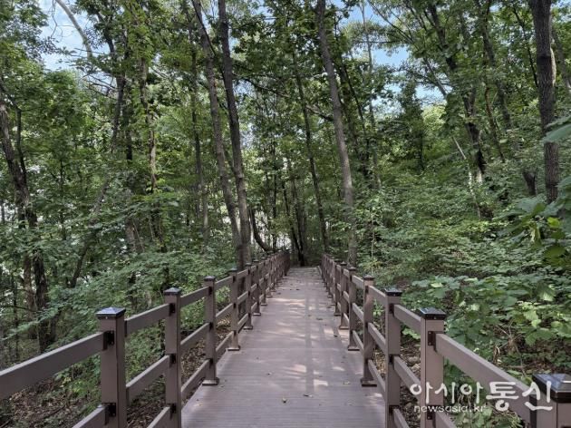 도심 속 쉼터 확대… 하남시 황산숲 데크로드 12월부터 시민 누구나 이용