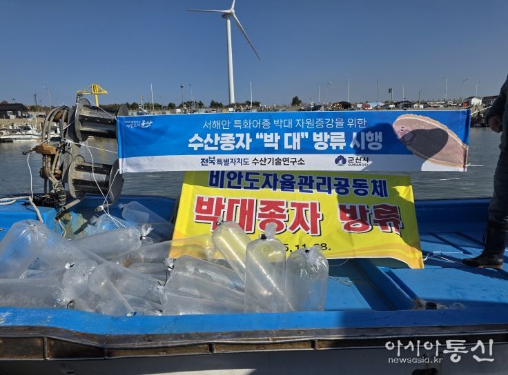 전북자치도, 어린 박대 10만 마리 무상방류