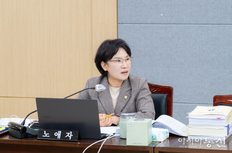 2025 행정사무감사(행정안전위원회 노애자의원