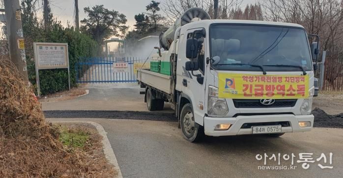 안성시 산란계농장 고병원성AI 의심축 발생