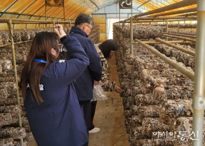 표고 생산농가 유통조사