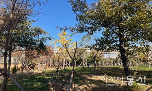 2025년 신일반산단 기후대응 도시숲 조성사진