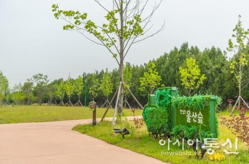 북구, 울산숲 조성 등 구정 베스트사업 선정