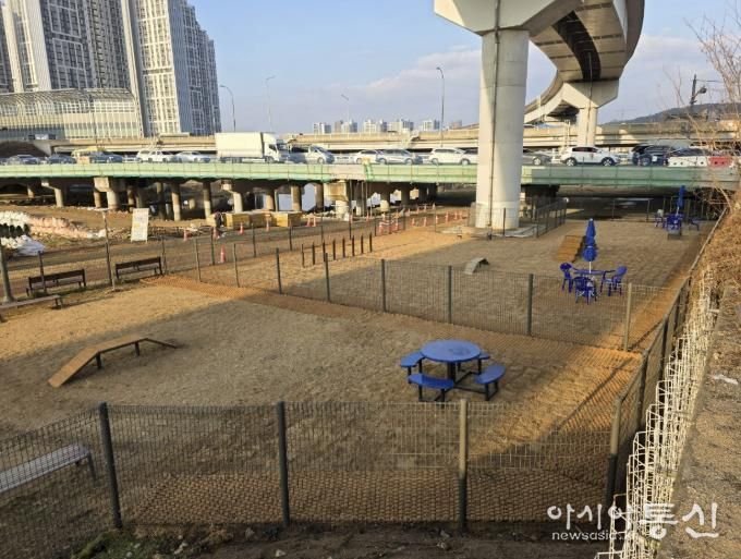 용인특례시가 처인구 경안천 산책로에 반려견 놀이터를 조성했다.