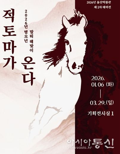 테마전 전시 이미지