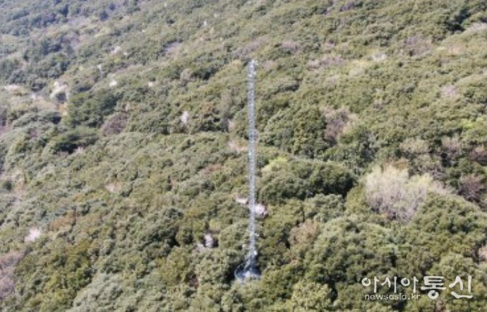 산림 플럭스타워(완도)