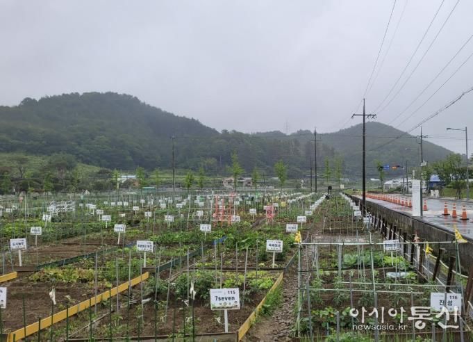 진주시, 도심 속 농업체험장‘시민 텃밭’분양 성황리 마감