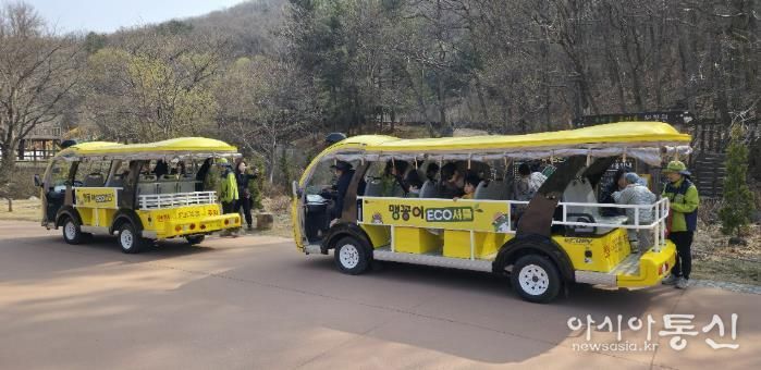 맹꽁이 에코셔틀